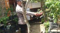 WhatsApp Image 2025-10-02 at 11.52.20 Sinergi Polri dan Masyarakat Sekotong Perkuat Ketahanan Pangan dan Kamtibmas