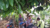 Bhabinkamtibmas Kuripan Ajak Petani Jagaraga Optimalkan Lahan Pekarangan