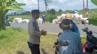 WhatsApp Image 2025-10-16 at 12.47.02_result Sinergi Polisi dan Petani di Lombok Barat, Hasilkan Panen Jagung Melimpah