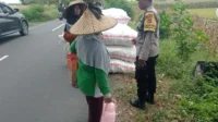 WhatsApp Image 2025-10-23 at 12.27.04_result Peran Polisi di Balik Panen Jagung Sukses Petani Lombok Barat