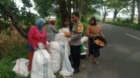 WhatsApp Image 2025-10-27 at 13.05.10 (1) Sinergi Petani dan Polri di Lombok Barat Hasilkan Panen Jagung Melimpah