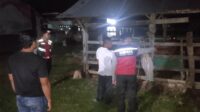 WhatsApp Image 2025-11-06 at 02.55.30 Apresiasi Warga Mengalir, Polisi Hadir di Tengah Sunyi Dini Hari Amankan Hewan Ternak