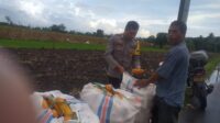 WhatsApp Image 2025-11-11 at 11.56.02 Harga Jagung di Lombok Barat: Polisi Imbau Petani Jual ke Bulog