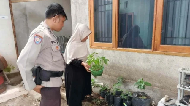 Ketahanan Pangan Langkah Nyata Polres Lombok Barat di Desa Meninting