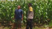 Dukung Swasembada Pangan, Polisi Dampingi Petani di Lombok Barat