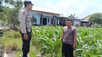 da7849bf-8c98-4f8c-ae2a-87707ed7b899 Polres Lobar Edukasi Warga Manfaatkan Lahan Pekarangan