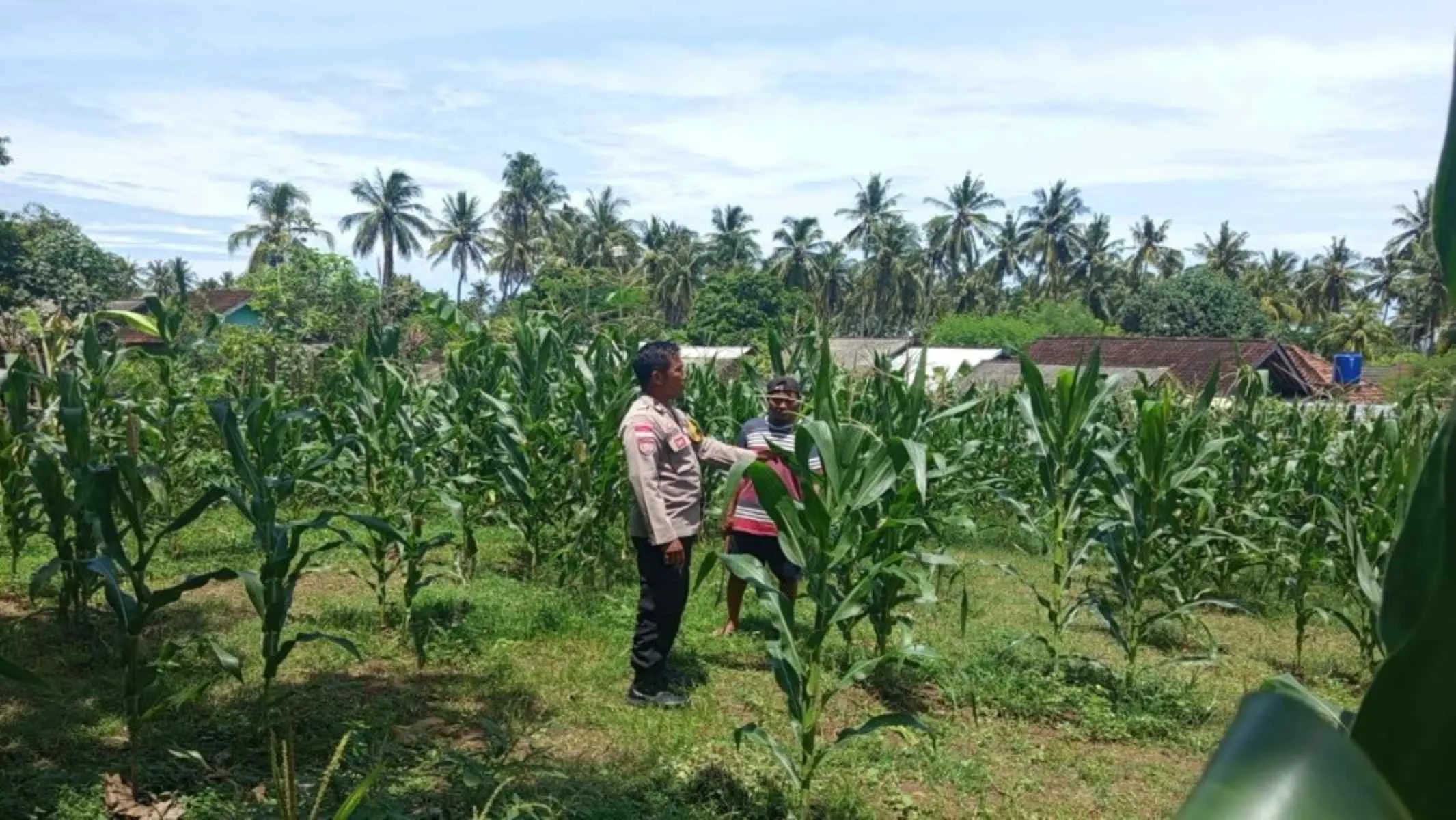 Upaya Polres Lombok Barat Optimalkan Lahan Produktif