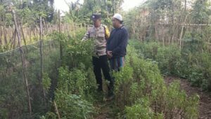 Bhabinkamtibmas Desa Babussalam Dorong Kemandirian Pangan Warga Gerung