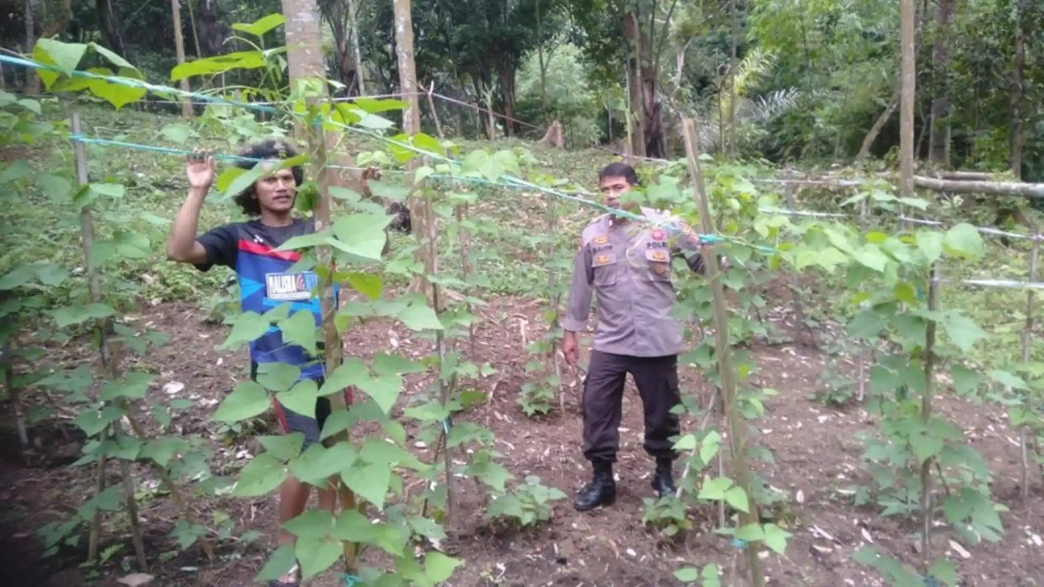 Strategi Bhabinkamtibmas Batulayar Optimalkan Lahan Pekarangan