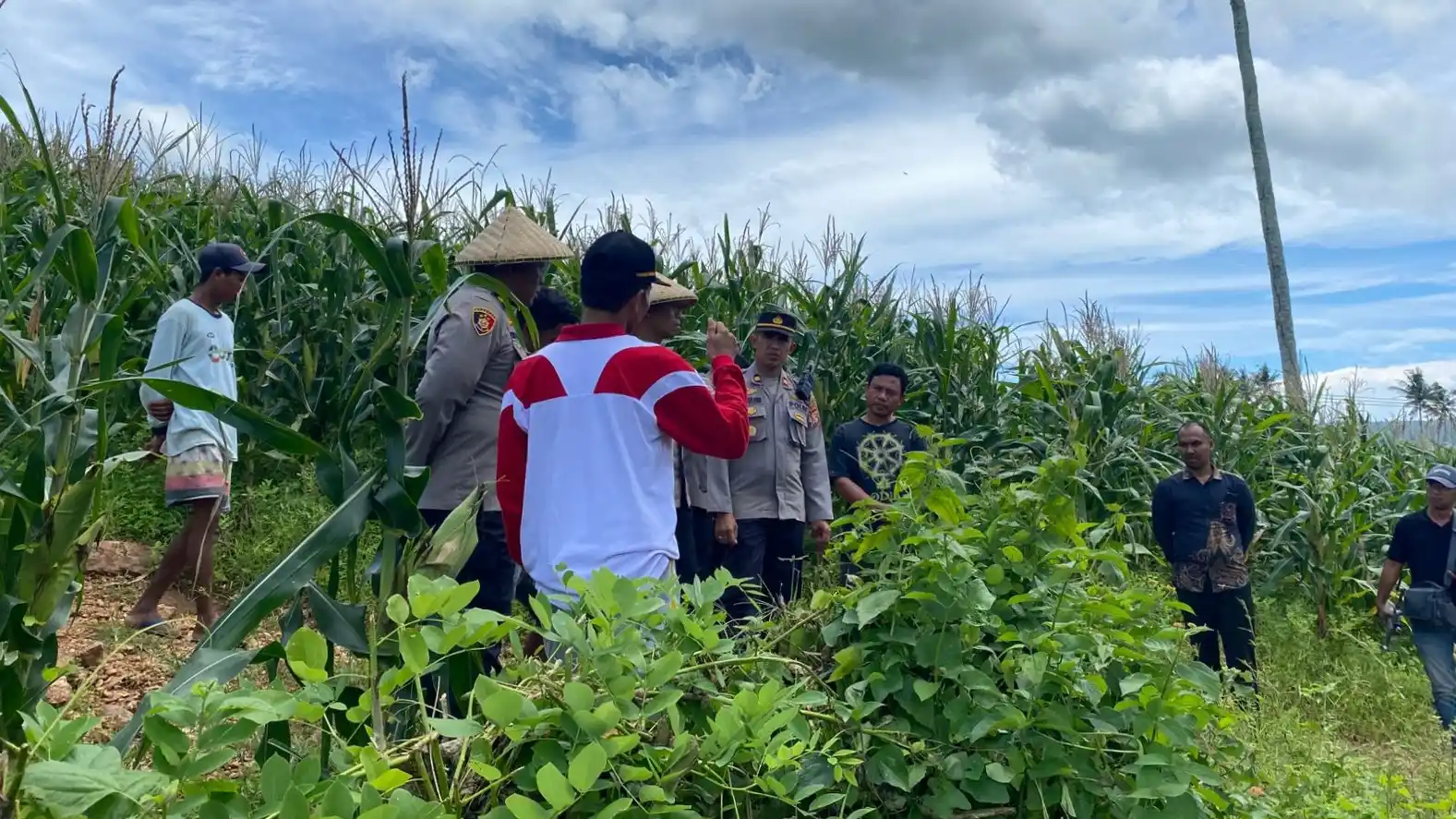 Wakapolres Lombok Barat Turun Langsung Dampingi Petani Jagung di Desa Kedaro