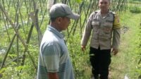Bhabinkamtibmas Gerung Turun ke Sawah Motivasi Petani Aik Ampat